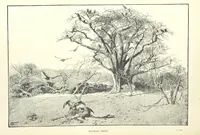 An illustration from The Wild Tribes of the Soudan. An account of travel and sport, chiefly in the Basé country, etc (1883)
