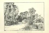 Picture 46 of 50 from The Wild Tribes of the Soudan. An account of travel and sport, chiefly in the Basé country, etc (1883), leaf 344