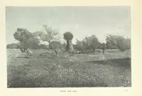 An illustration from The Wild Tribes of the Soudan. An account of travel and sport, chiefly in the Basé country, etc (1883)