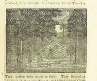An illustration from Providence Displayed: or, the remarkable adventures of Alexander Selkirk, who lived four years and four months by himself, on the island of Juan Fernandez ... To which is added a supplement, containing the history of P. Serrano, E. How, and others left in similar situations (1800)