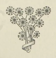 An illustration from The Dewy Morn. A novel (1884)