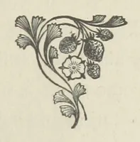 Picture 3 of 12 from The Dewy Morn. A novel (1884), leaf 23