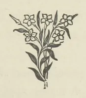 An illustration from The Dewy Morn. A novel (1884)