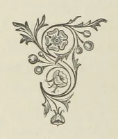 An illustration from The Dewy Morn. A novel (1884)