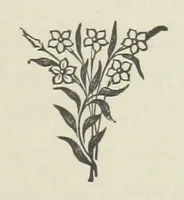 An illustration from The Dewy Morn. A novel (1884)