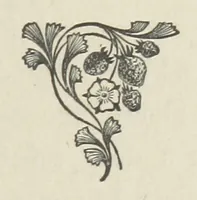 An illustration from The Dewy Morn. A novel (1884)