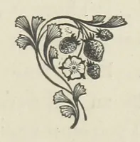 An illustration from The Dewy Morn. A novel (1884)