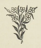 An illustration from The Dewy Morn. A novel (1884)