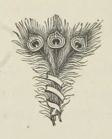 An illustration from The Dewy Morn. A novel (1884)