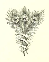 An illustration from The Red Rag. A novel (1881)