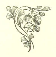 An illustration from The Red Rag. A novel (1881)