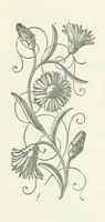 An illustration from Maidenhood; or, the Verge of the Stream (1876)