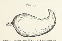 Picture 28 of 47 from Getting Gold. A practical treatise for prospectors, miners and students ... With illustrations (1897), leaf 151