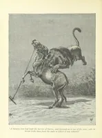 Picture 30 of 48 from The History of a Slave ... With ... illustrations ... from the author's drawings (1889), leaf 178