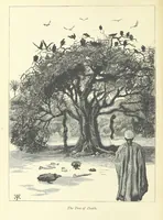 Picture 39 of 48 from The History of a Slave ... With ... illustrations ... from the author's drawings (1889), leaf 228