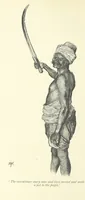 Picture 40 of 48 from The History of a Slave ... With ... illustrations ... from the author's drawings (1889), leaf 232