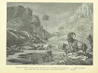 Picture 46 of 48 from The History of a Slave ... With ... illustrations ... from the author's drawings (1889), leaf 266