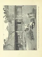 An illustration from The History of a Slave ... With ... illustrations ... from the author's drawings (1889)