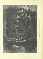 An illustration from The History of a Slave ... With ... illustrations ... from the author's drawings (1889)