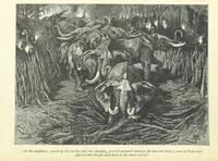 An illustration from The History of a Slave ... With ... illustrations ... from the author's drawings (1889)