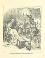 An illustration from The Brotherhood of the Coast. [A romance (1895)