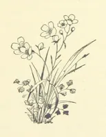 An illustration from The Brotherhood of the Coast. [A romance (1895)