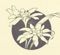An illustration from The Brotherhood of the Coast. [A romance (1895)