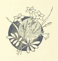 An illustration from The Brotherhood of the Coast. [A romance (1895)