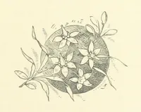 An illustration from The Brotherhood of the Coast. [A romance (1895)