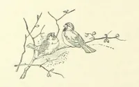 An illustration from The Brotherhood of the Coast. [A romance (1895)