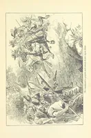 An illustration from The Brotherhood of the Coast. [A romance (1895)