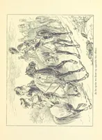 An illustration from The Brotherhood of the Coast. [A romance (1895)