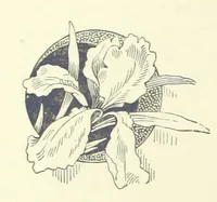 An illustration from The Brotherhood of the Coast. [A romance (1895)