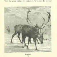 An illustration from The Paradise of the North ... With ... illustrations, etc (1892)