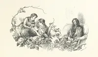 An illustration from Csataképek a magyar szabadságharczból ... Kimnach László rajzai után készült fametszetekkel. Hatodik illusztrált díszkiadás (1899)