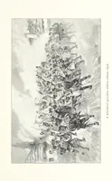 An illustration from Csataképek a magyar szabadságharczból ... Kimnach László rajzai után készült fametszetekkel. Hatodik illusztrált díszkiadás (1899)