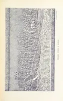Picture 6 of 66 from A magyar nemzet története regényes rajzokban ... Ötödik képes kiadás (1898), leaf 21