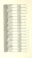 Picture 21 of 43 from A History of the parish of Tettenhall, in the county of Stafford. [With plates (1894), leaf 294