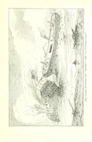 An illustration from Ships, Sailors, and the Sea, etc (1887)