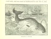 An illustration from Ships, Sailors, and the Sea, etc (1887)