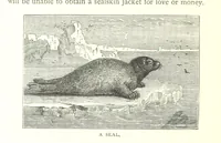 An illustration from Ships, Sailors, and the Sea, etc (1887)