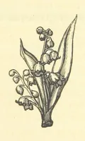 An illustration from The works of Ben Jonson. With a biographical memoir, by William Gifford. A new edition (1875)
