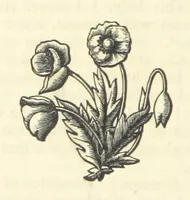 An illustration from The works of Ben Jonson. With a biographical memoir, by William Gifford. A new edition (1875)