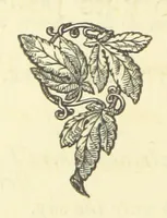 An illustration from The works of Ben Jonson. With a biographical memoir, by William Gifford. A new edition (1875)