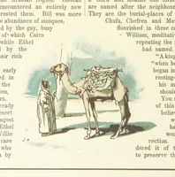 An illustration from A Journey round the World. With illustrations by C. Marr (1888)