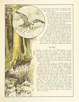 An illustration from A Journey round the World. With illustrations by C. Marr (1888)