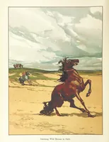 Picture 36 of 47 from A Journey round the World. With illustrations by C. Marr (1888), leaf 36