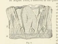 An illustration from The Student's Manual of Geology (1862)
