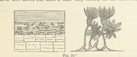 An illustration from The Student's Manual of Geology (1862)