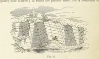 An illustration from The Student's Manual of Geology (1862)